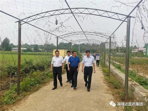 福瑞达贾庆文带队考察山东中药现代化科技产业示范基地