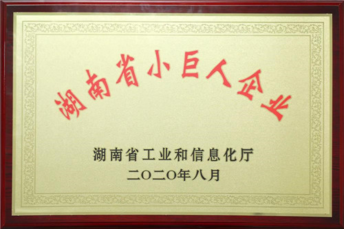 绿之韵集团获评2020年“湖南省小巨人企业”