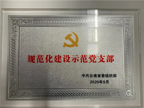 理想党委荣获2019年度省级“规范化建设示范党支部”称号