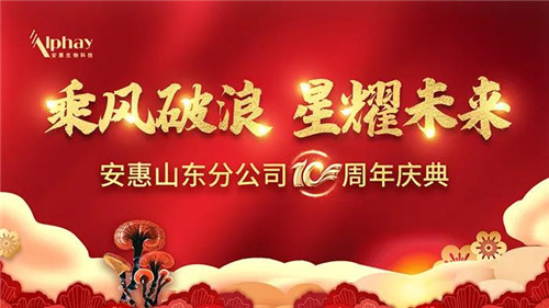 乘风破浪，星耀未来，安惠山东分公司10周岁啦!