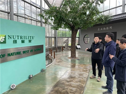 南京溧水区委副书记一行莅临安利（中国）植物研发中心参观指导