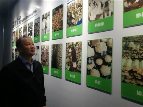 安发生物再次荣选中国食用菌协会副会长单位